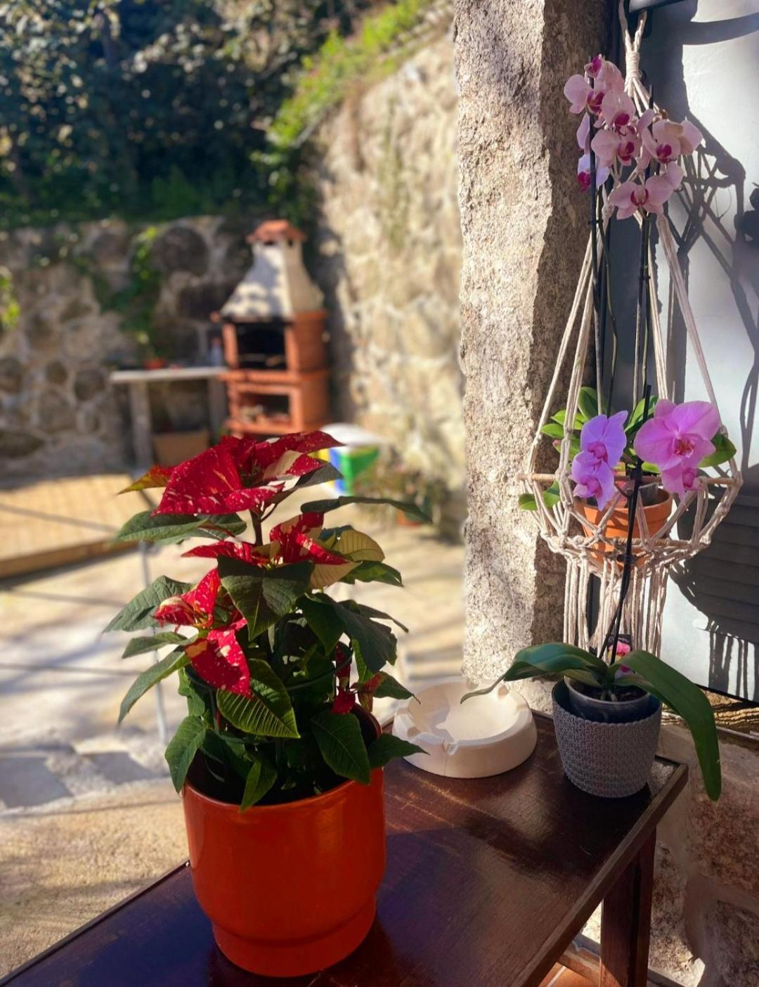 Casa Da Quinta Costa D'Alem Geres Villa Terras de Bouro Dış mekan fotoğraf