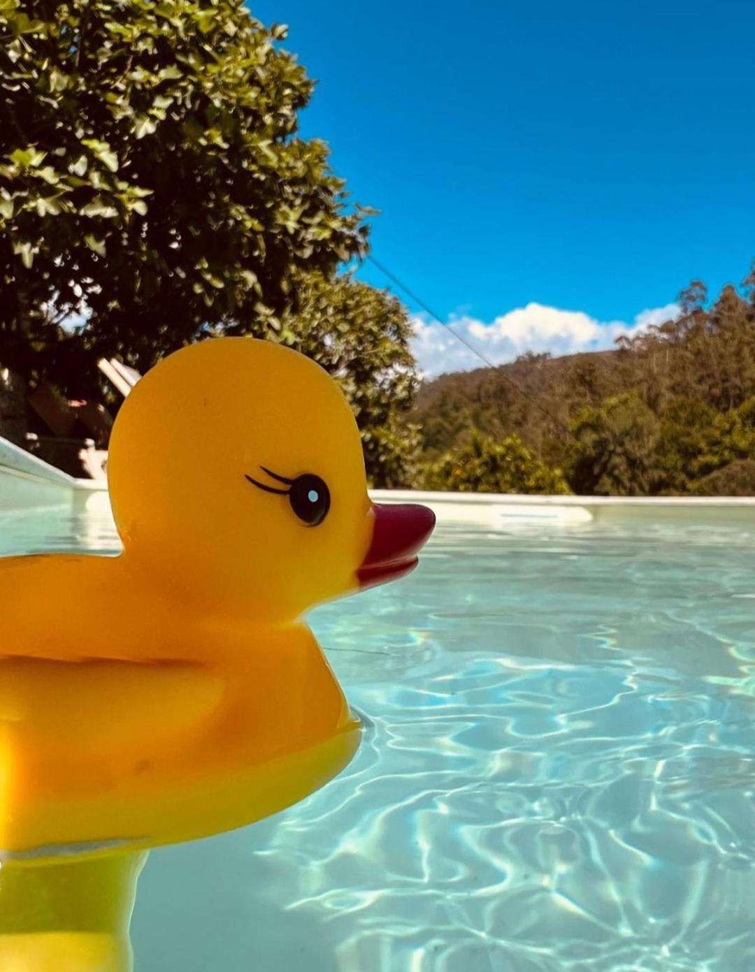Casa Da Quinta Costa D'Alem Geres Villa Terras de Bouro Dış mekan fotoğraf